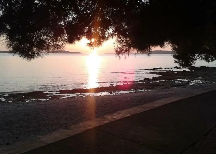 Elma Διαμέρισμα